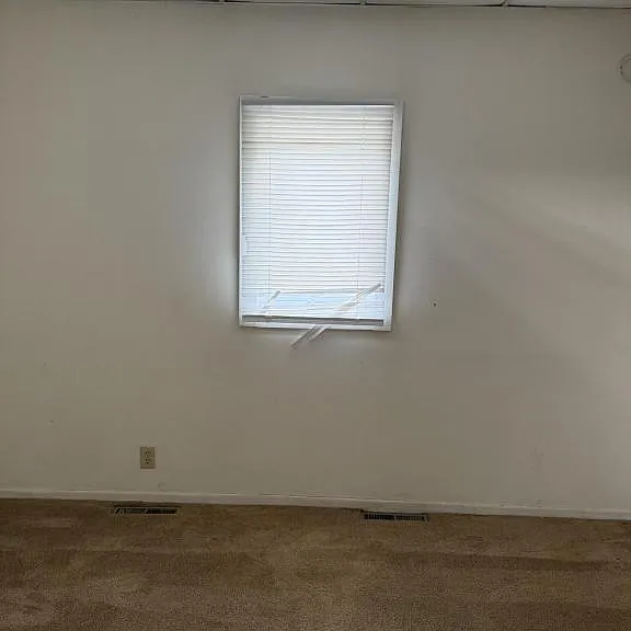906 Vine St — Photo 18