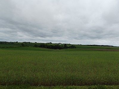 2nd image of 55 Ac Hwy #80