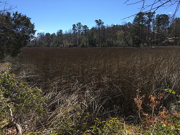 Marsh view from lot