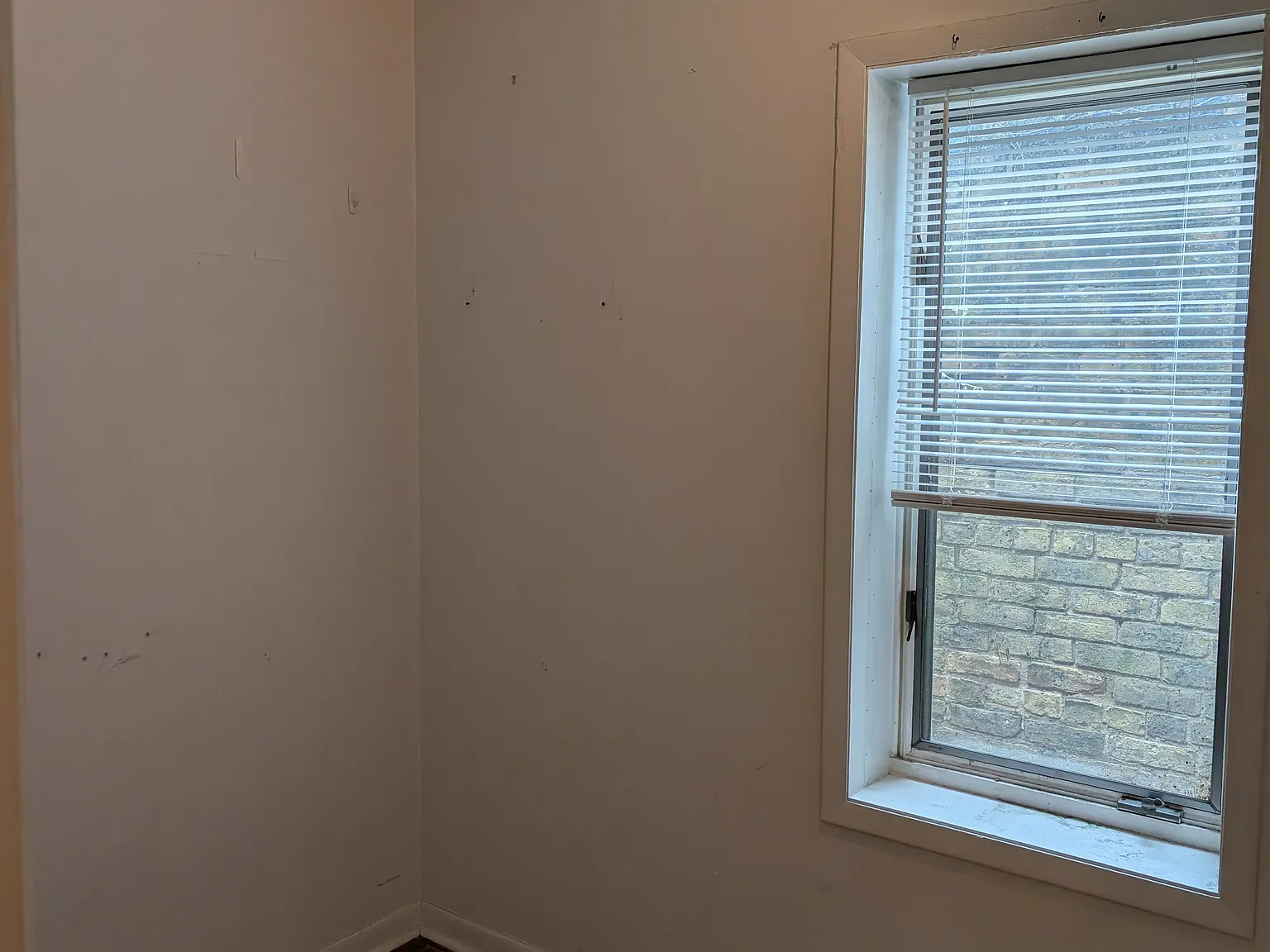 1 bed, 430 sqft, $1,800 — Photo 4