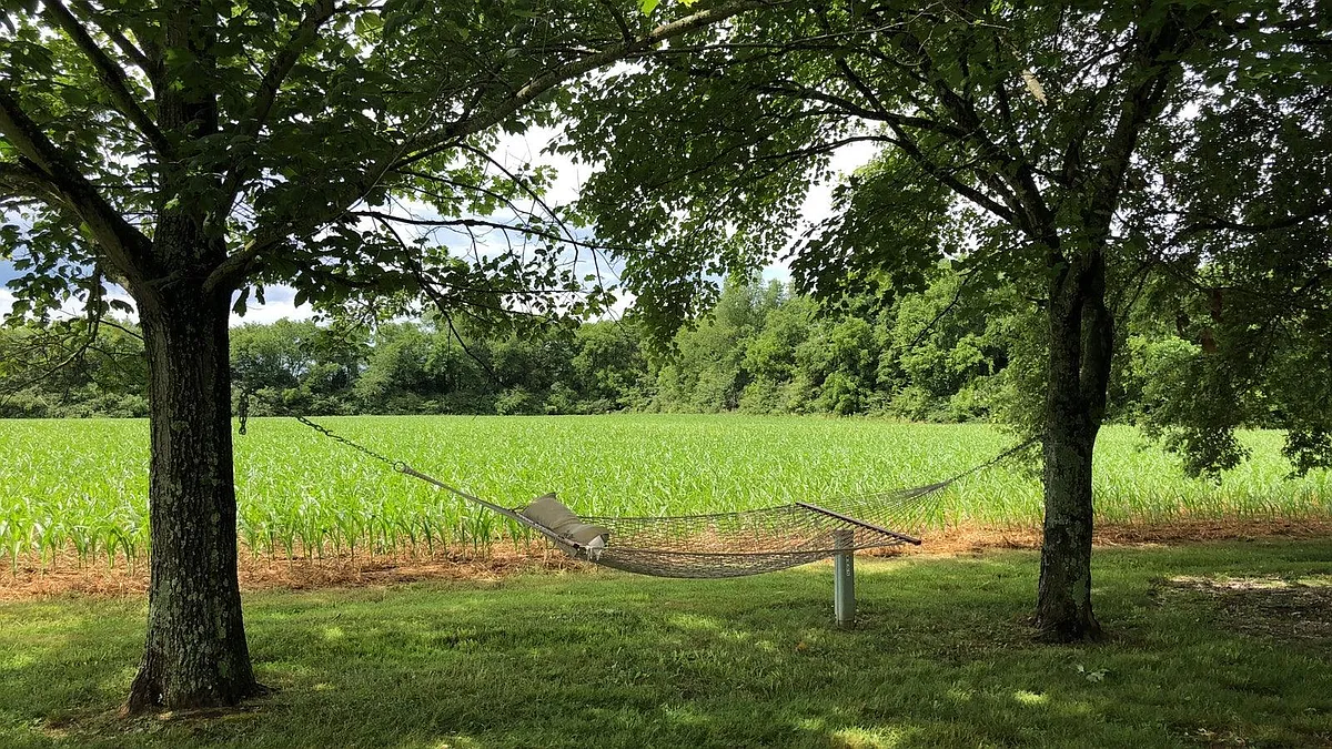Field that home backs up to. (this is the back yard view!) - 4422 Meadowland Dr