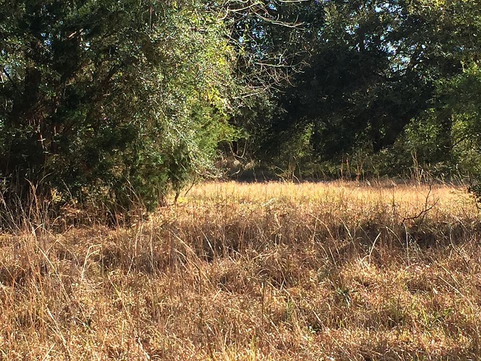 2nd image of Allie Byrd Rd