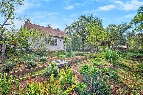 709 Cole Rd — Photo 5