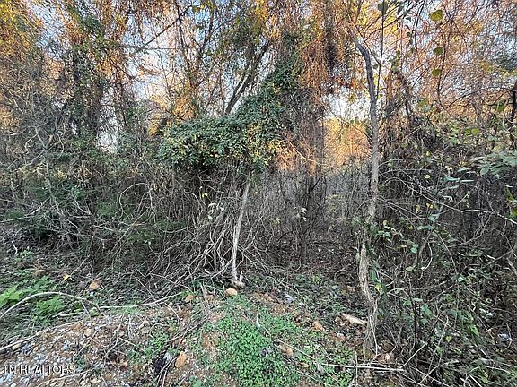4th image of Magnolia Ln Lot 488