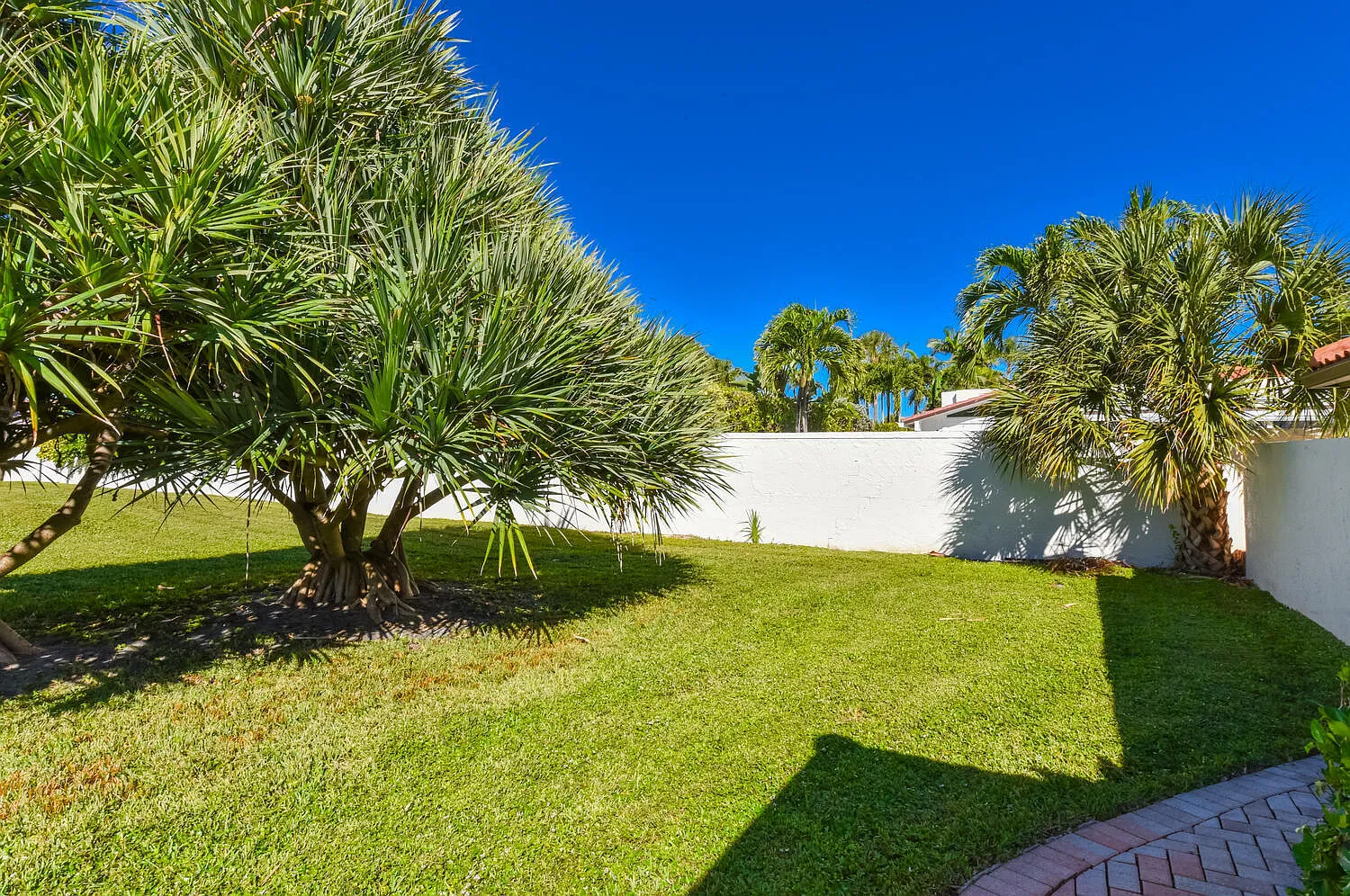 3 bed, 2.0 bath, 1866 sqft, $6,000 — Photo 4