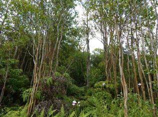 Ulei Street Rd #6, Mountain View, HI 96771