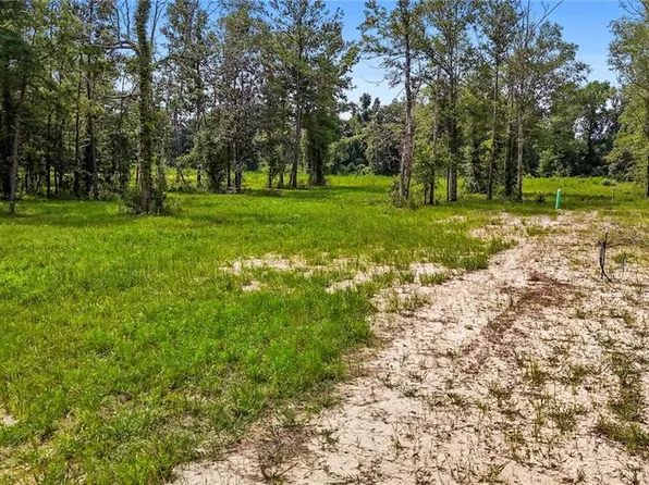 39502 Lees Landing Rd, Ponchatoula, LA 70454