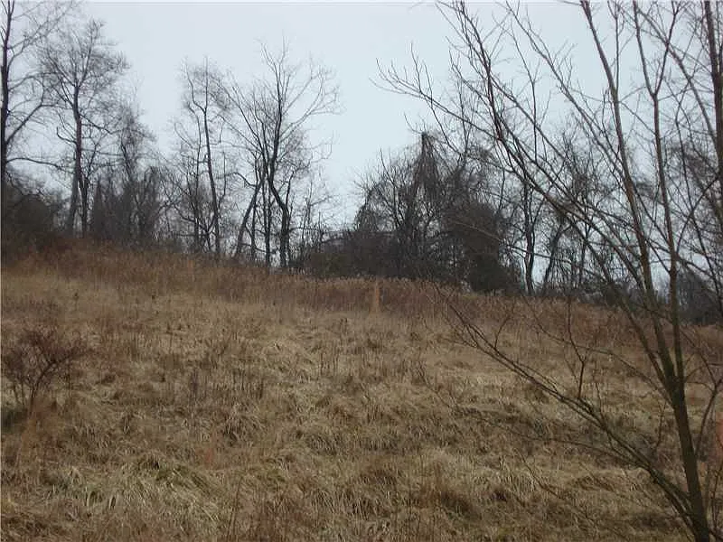 173 Tony Row Rd photo 1