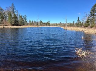 Court #307, Blackduck, MN 56630