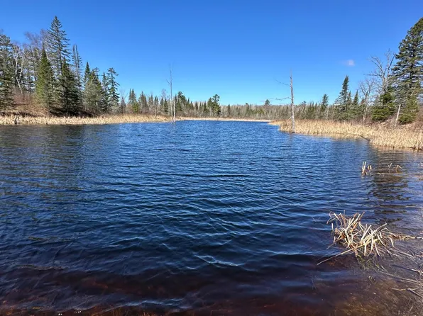 Court #307, Blackduck, MN 56630