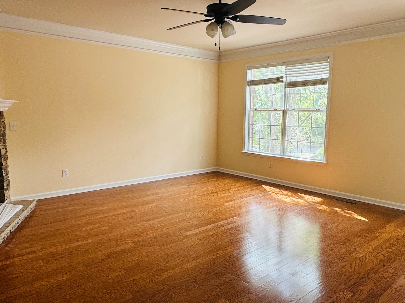 5117 Wellsley Bnd — Photo 2