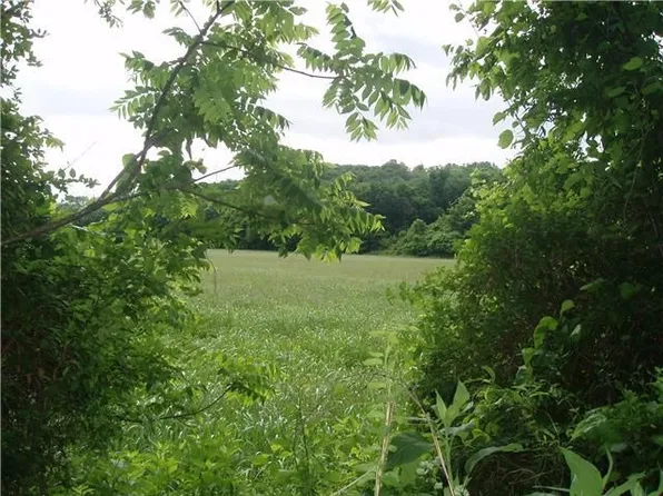 3690 Blooming Grove Rd, Woodlawn, TN 37191