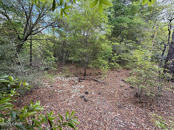 5th image of 19678 Walsh Rd