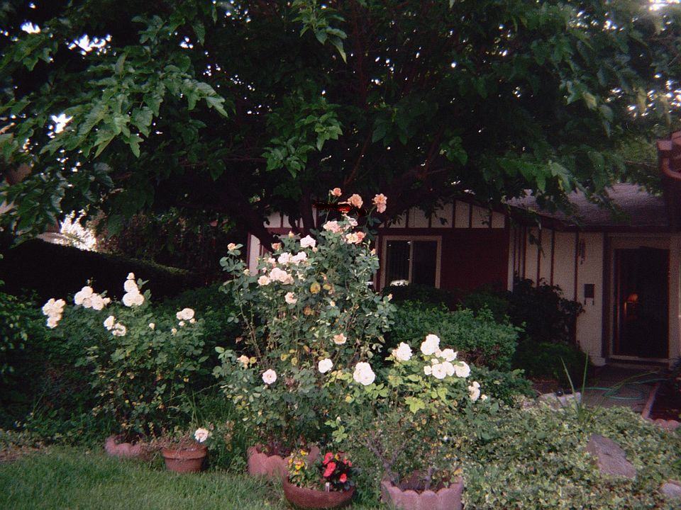 1st image of 6938 Lalley Ln