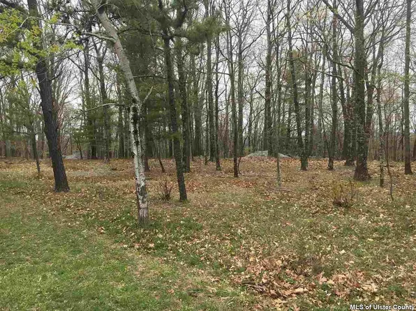 7 Spies Rd, New Paltz, NY 12561