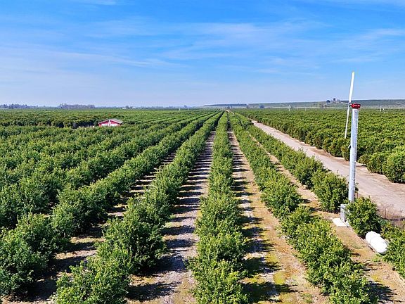 4th image of 19188 E Trimmer Springs Rd