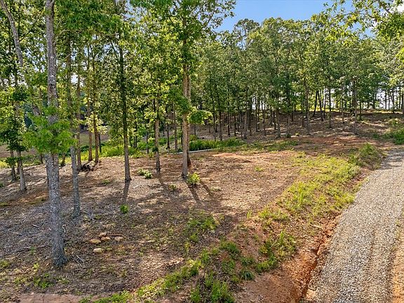 4th image of LOT 85 Split Creek Rd