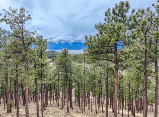 43 S Ben Eaton Ln #43, Westcliffe, CO 81252