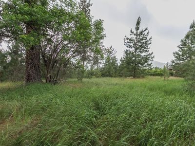 1300 Grandview Way, Kettle Falls, WA, 99141