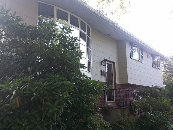 Front view