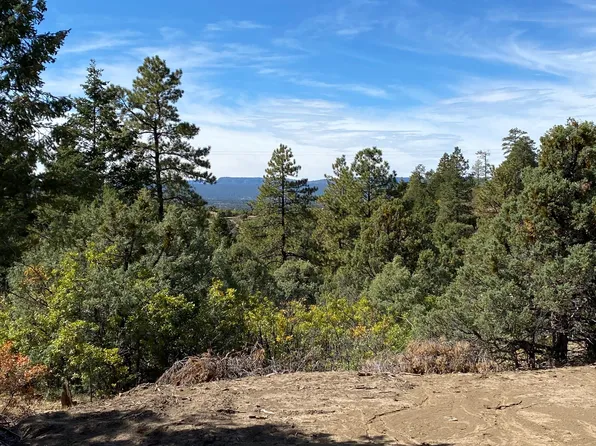 0 Pd #1781, Chama, NM 87520