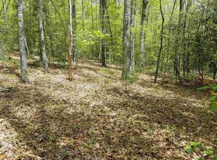 0 Laurel Lodge Rd, Clarkesville, GA 30523