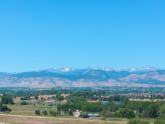 Lupine Longmont