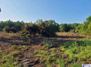 Timmons Rd, Timmonsville, SC 29161