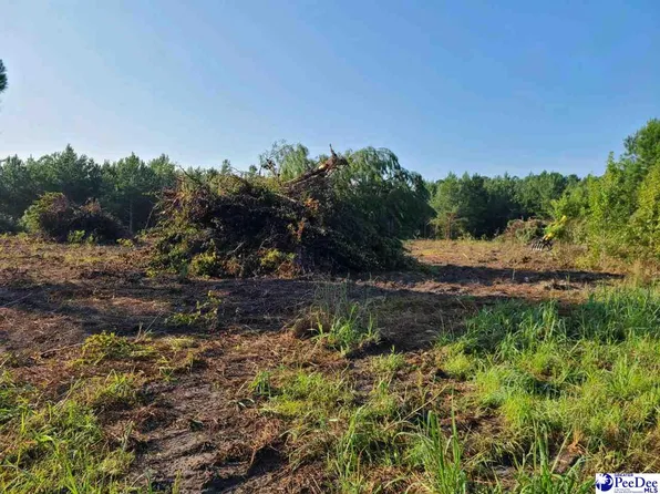Timmons Rd, Timmonsville, SC 29161