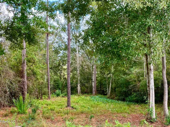 941 W Lakeshore Dr #1538, Carriere, MS 39426