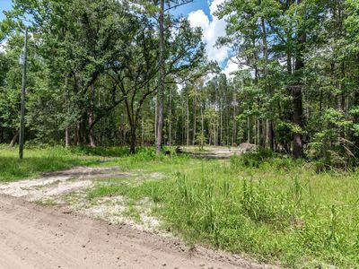 98 Manatee Ln, Green Pond, SC, 29446