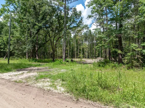 98 Manatee Ln, Green Pond, SC 29446