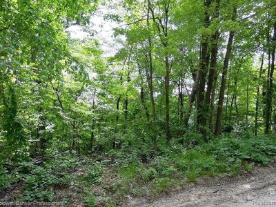 0 Johnson Dr, Lake Orion, MI, 48362