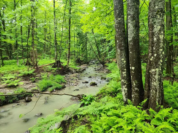 Lot 12 Canton Mountain Road, Jay, ME 04239
