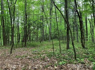 213 Walnut Ridge Rd, Brevard, NC 28712