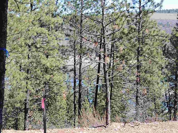 2nd image of 42051 Porcupine Bay Rd N Lot 4