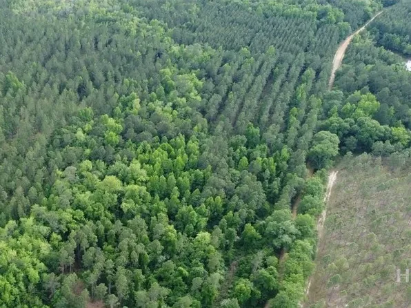 0 Old Manassas Foy Road #Tract 5, Register, GA 30452