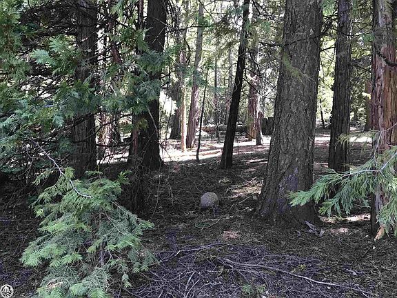 4th image of 27089 Summerhill Dr