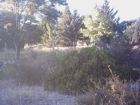4th image of 1909 Pine Grove Dr