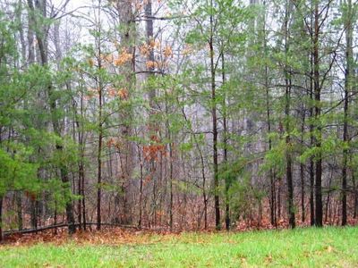 Falls Rd 1 Lot 10, Monterey, TN, 38574