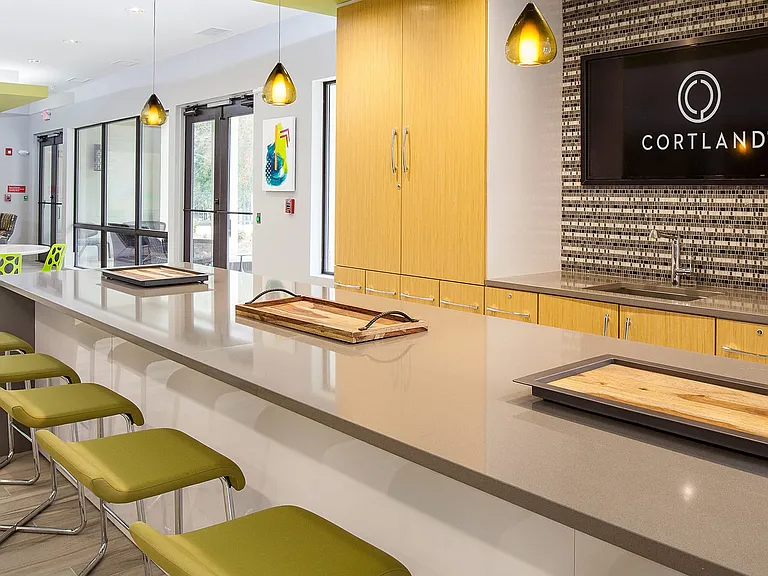 Cortland at the Village — Photo 33