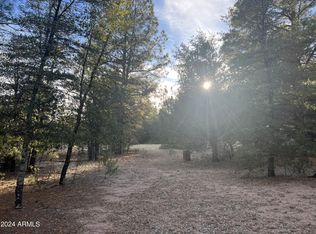 411 E Forest Service Rd #512, Young, AZ 85554