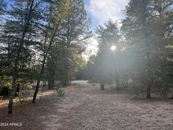 411 E Forest Service 512 Road #-, Young, AZ 85554