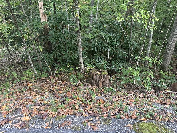5th image of 27 Pinnacle Vista Rd Lot 27