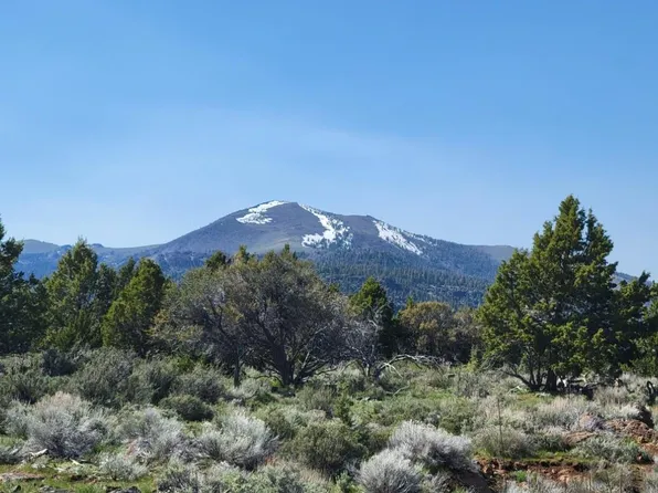 0 Hogback Rd, Plush, OR 97637