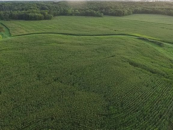 2nd image of CR 260