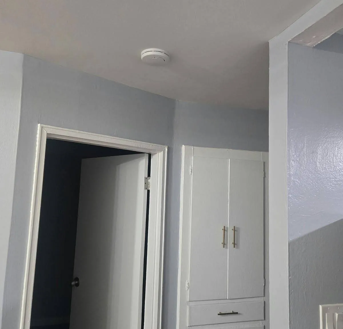 2 bed, 1.0 bath, $3,100 — Photo 3