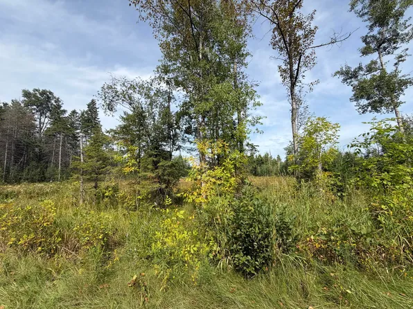 368 Beaver Shores Dr, Lachine, MI 49753