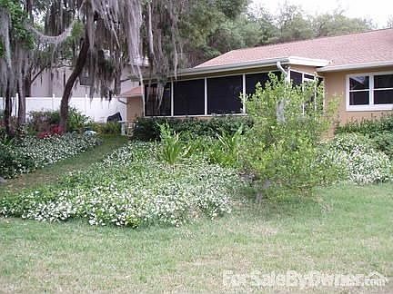 Backyard beauty
						:
						Lots of flowering plants and fruit trees