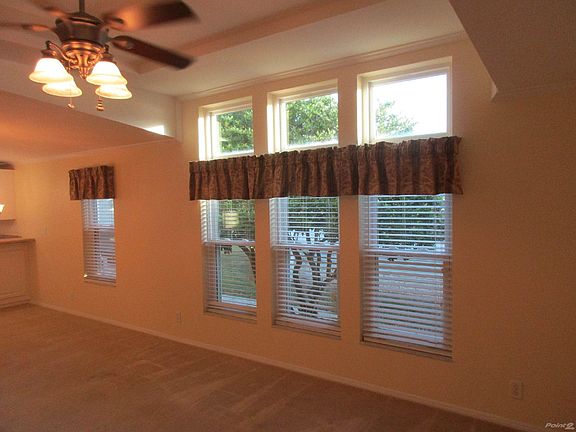 Transom Windows